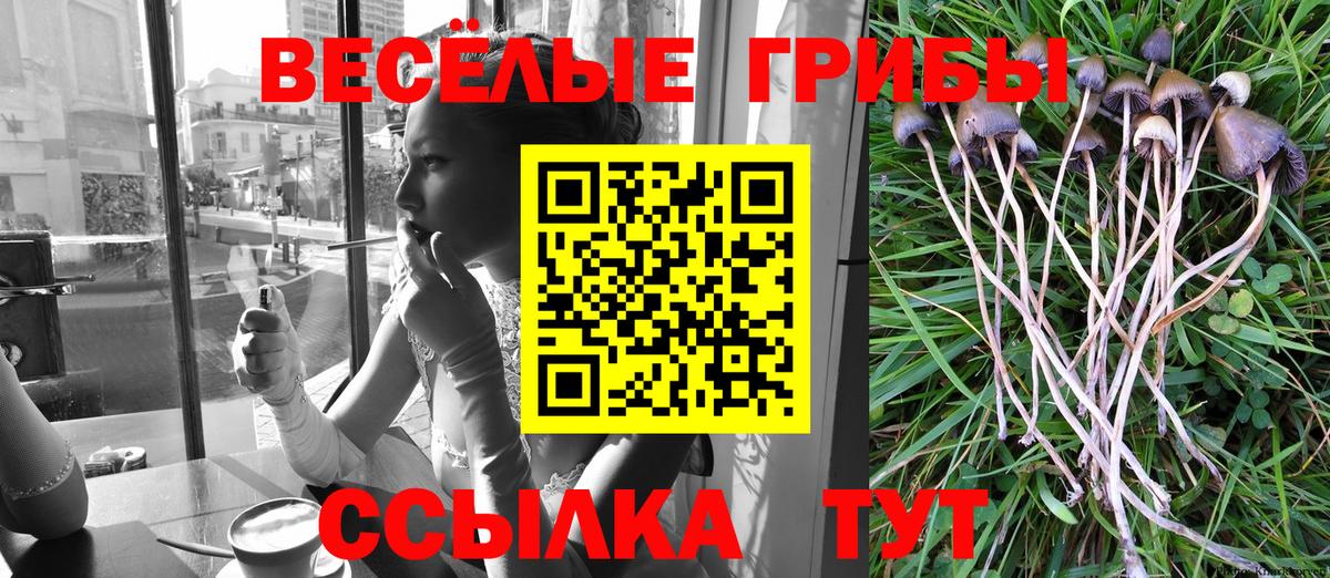 Галлюциногенные грибы MAGIC MUSHROOMS  Вход с VPN  Псилоцибиновые грибы Cubensis  Соль-Илецк 