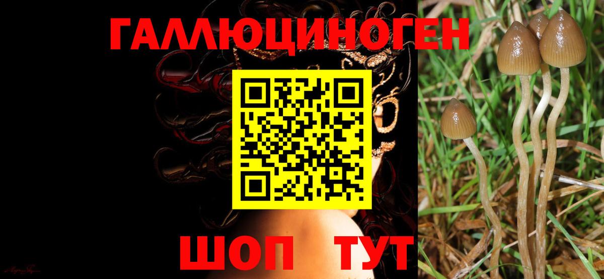 Псилоцибиновые грибы ЛСД Соль-Илецк